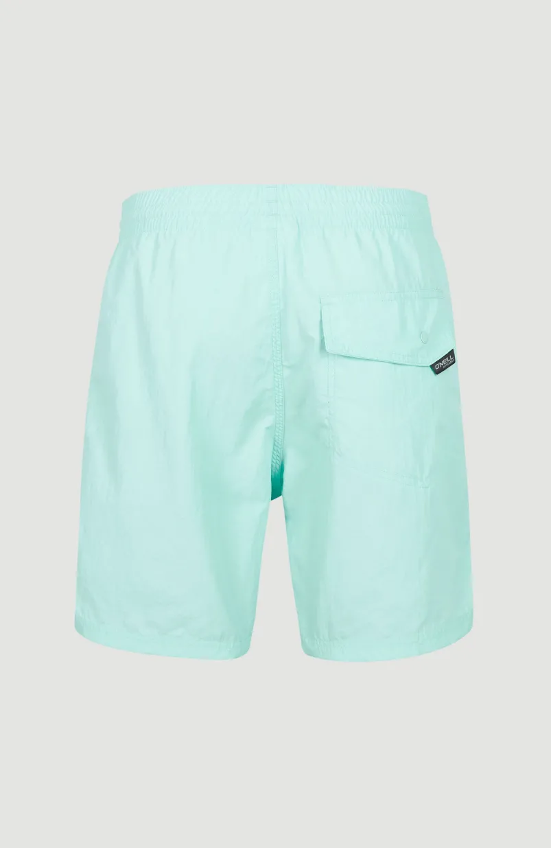 Zwemshort Vert 16'' | Beach Glass