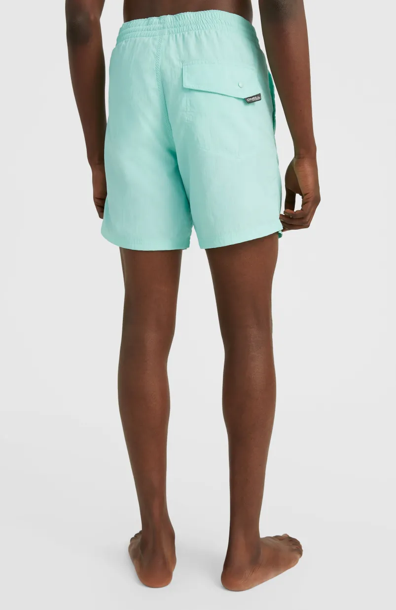 Zwemshort Vert 16'' | Beach Glass