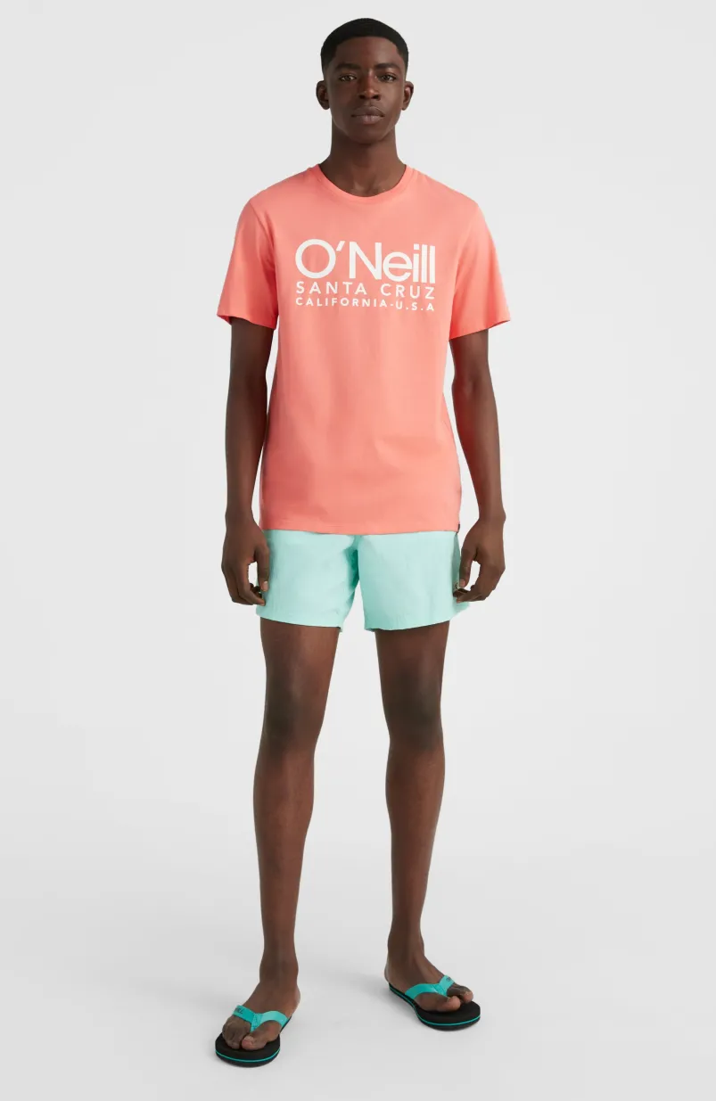 Zwemshort Vert 16'' | Beach Glass