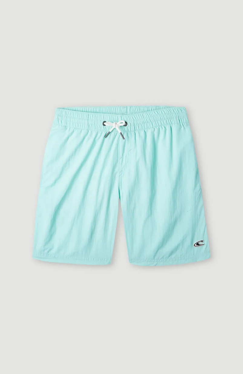 Zwemshort Vert 14 | Beach Glass