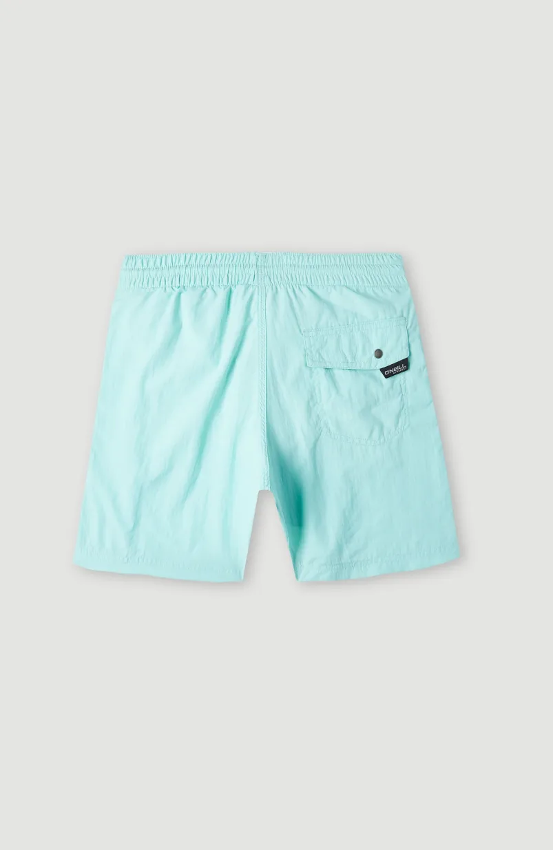 Zwemshort Vert 14 | Beach Glass